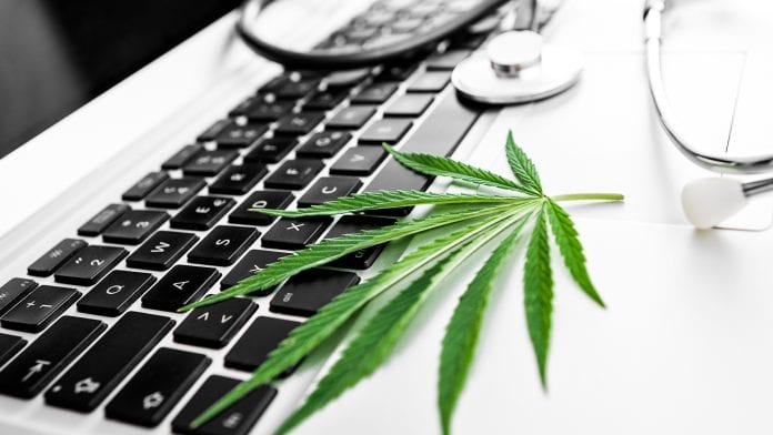 Buy Weed Online? What to Look For