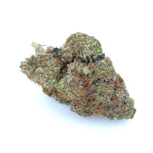 G13