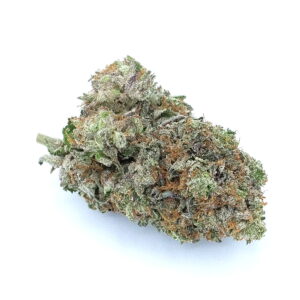 Hindu Kush