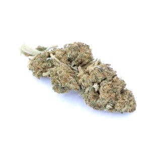 Bruce Banner