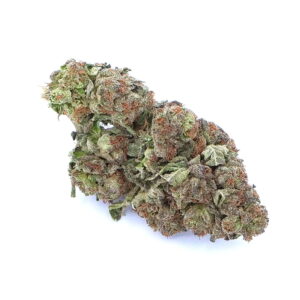 Gelato Biscotti