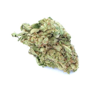 Northern Lights