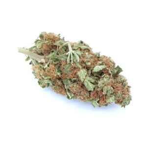 Purple Punch