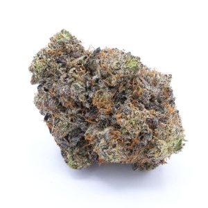 El Presidente