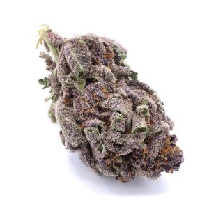 Purple Haze
