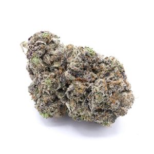 Purple OG Kush