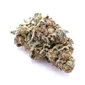 White Widow